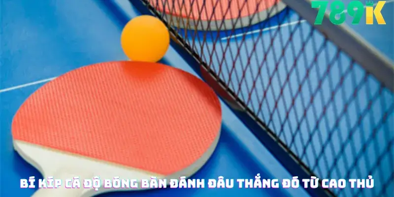 Bí Kíp Cá Độ Bóng Bàn Đánh Đâu Thắng Đó Từ Cao Thủ