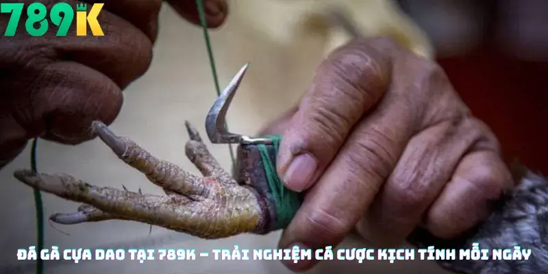 Đá Gà Cựa Dao Tại 789K – Trải Nghiệm Cá Cược Kịch Tính Mỗi Ngày