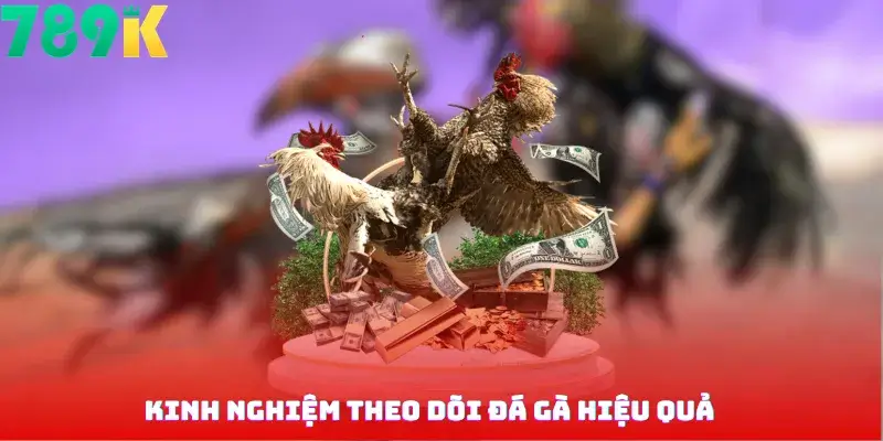 Kinh Nghiệm Theo Dõi Đá Gà Hiệu Quả
