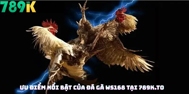 Ưu Điểm Nổi Bật Của Đá Gà WS168 Tại 789K.to