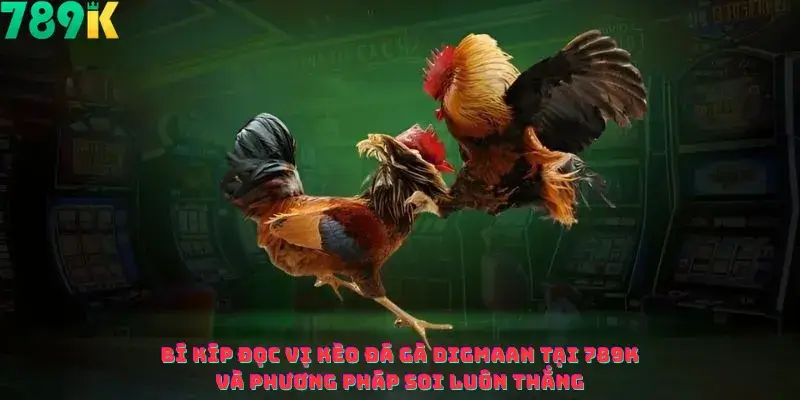 Bí Kíp Đọc Vị Kèo Đá Gà Digmaan Tại 789k Và Phương Pháp Soi Luôn Thắng
