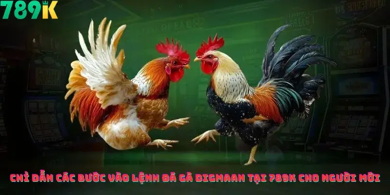 Chỉ Dẫn Các Bước Vào Lệnh Đá Gà Digmaan Tại 789k Cho Người Mới