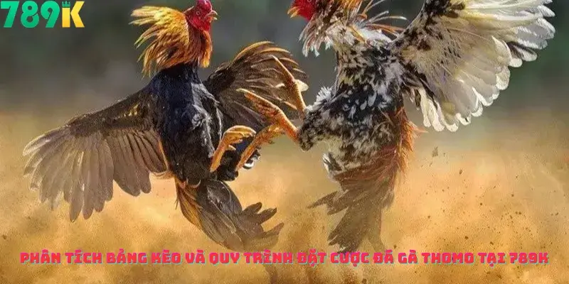 Phân Tích Bảng Kèo Và Quy Trình Đặt Cược Đá Gà Thomo Tại 789k